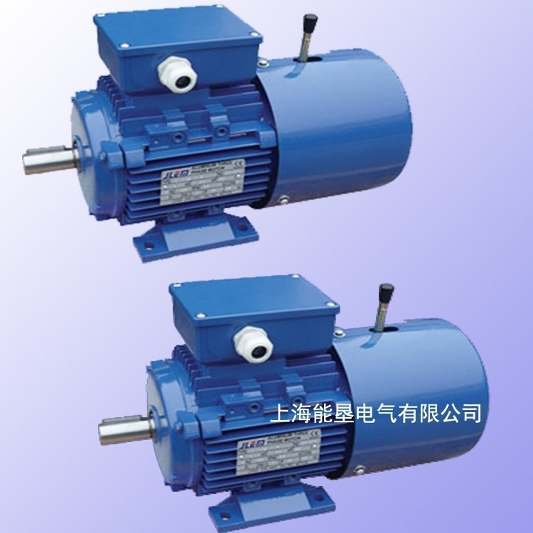汉中变频制动三相异步电动机 YVPEJ132S-8 2.2KW